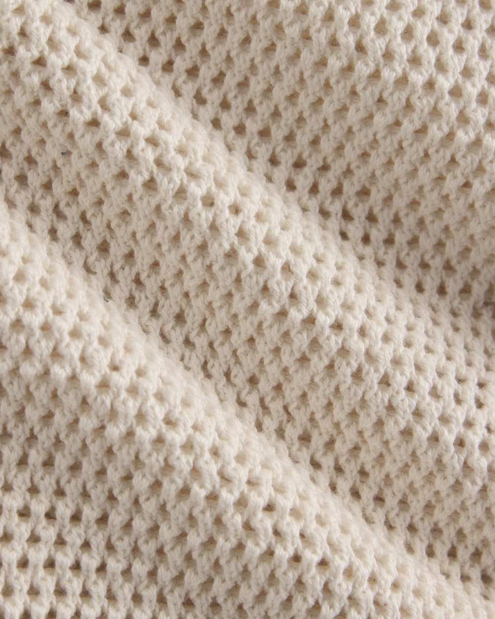 Open Knit Long-Sleeve Crew in Everyday Cotton | Canvas - Image 6
