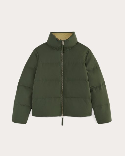 Alternative view of The Puffer Bomber | Dark Forest